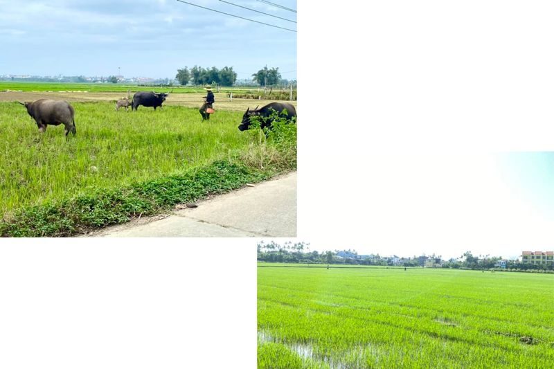 Da Nang Rural Villages Full-Day Bike Tour - A herbal foot bath, then a walk to the water