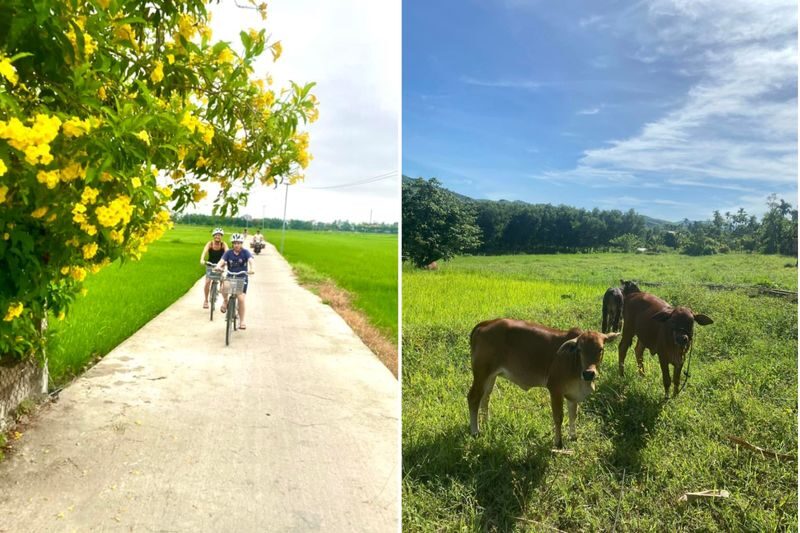 Da Nang Rural Villages Full-Day Bike Tour - Cooking four Vietnamese dishes