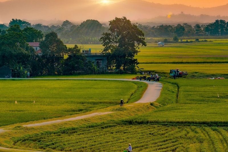 Da Nang Rural Villages Full-Day Bike Tour - How the long schedule works