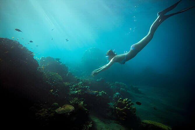 Da Nang: Son Tra Peninsula Exploration - Snorkeling, Fishing - An In-Depth Look at the Son Tra Peninsula Tour