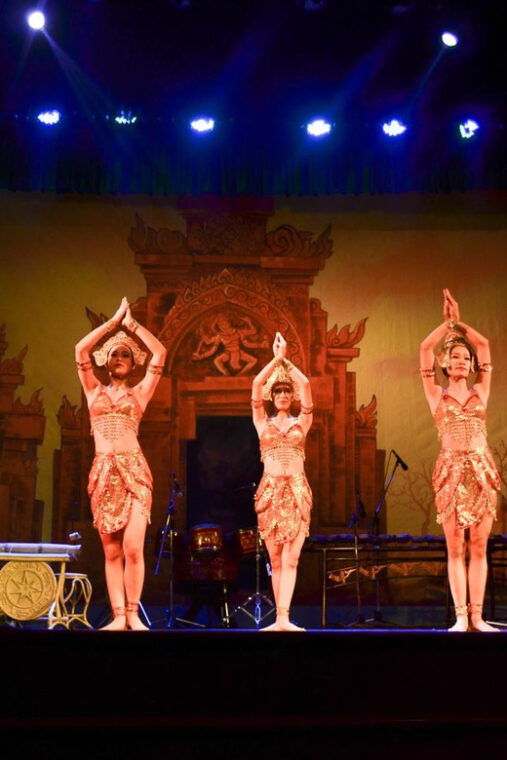 Da Nang: Tien Sa Show Ticket - Performance Description