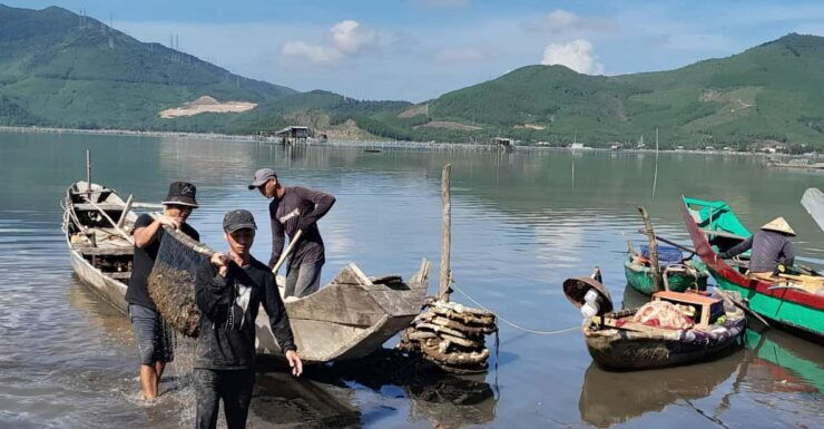 Da Nang to Quy Nhon by Private Car With Professional Driver - Good To Know