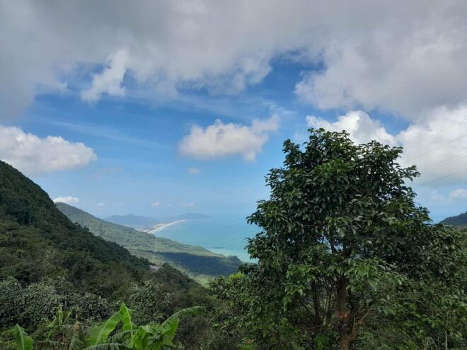 Da Nang to Quy Nhon by Private Car With Professional Driver - Booking Process