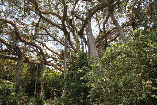 Da Nang US Army Jeep Tour Monkey Mountain Son Tra Peninsula 3Hr - Pricing and Terms