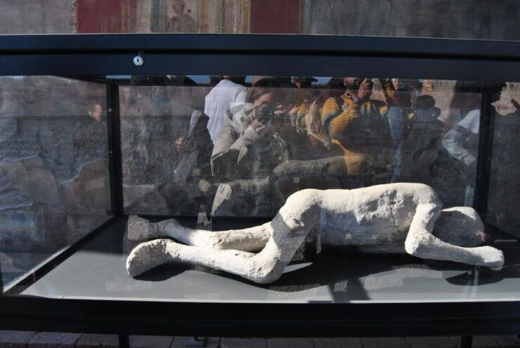 Da Pompei: Amazing Tour to Pompeii Ruins - Booking Information