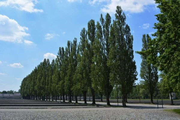 Dachau Memorial Public Tour - Practical Information for Visitors