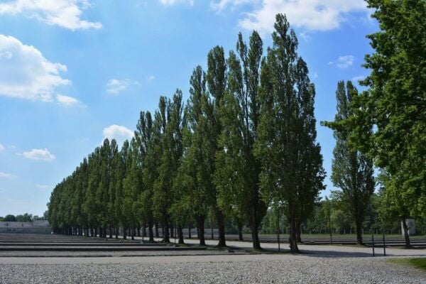 Dachau Memorial Public Tour - Nearby Attractions and Accommodations