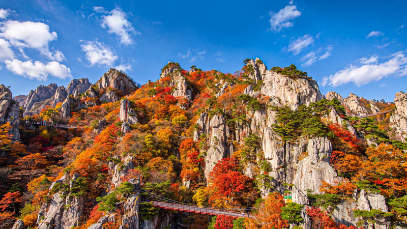 Daedunsan Autumn Foliage & Buyeo Baekje Heritage Day Tour from Seoul - Daedunsan and Buyeo at a glance