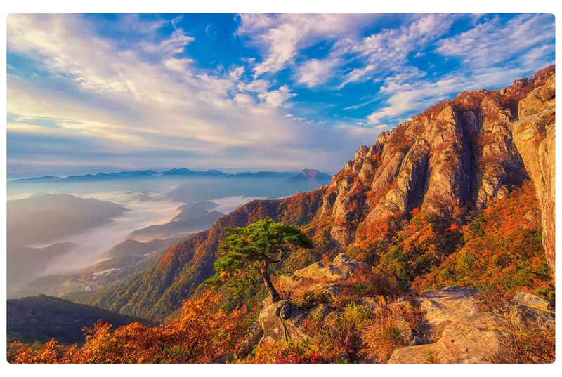 Daedunsan Autumn Foliage & Buyeo Baekje Heritage Day Tour from Seoul - The early bus ride sets the pace