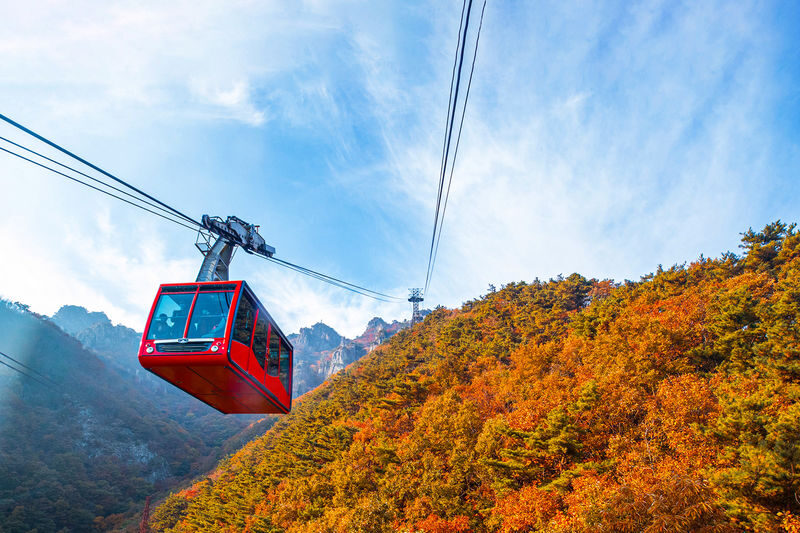 Daedunsan Autumn Foliage & Buyeo Baekje Heritage Day Tour from Seoul - Autumn color depends on your date