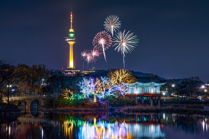 Daegu Best Spots Private Tour With Tourguide - Expert Tour Guide Details