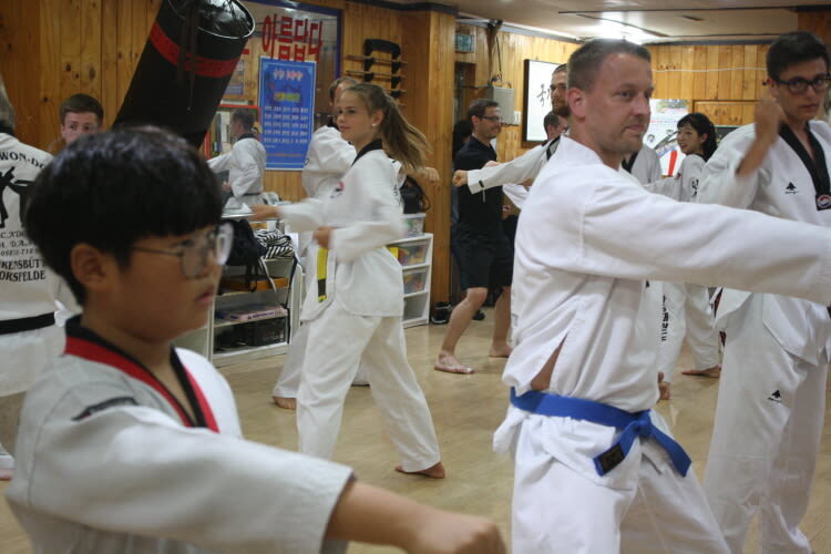 Daegu Combat Taekwondo Oneday Class - Finding Hanseong Taekwondo in Daegu