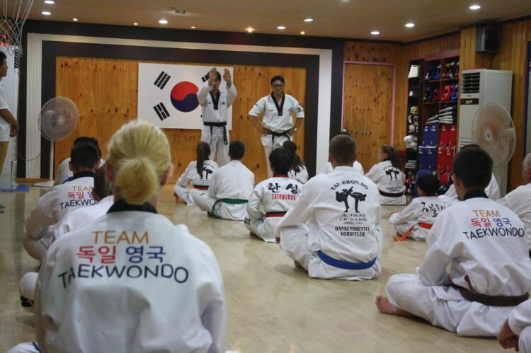 Daegu Combat Taekwondo Oneday Class - Who will get the most from the class
