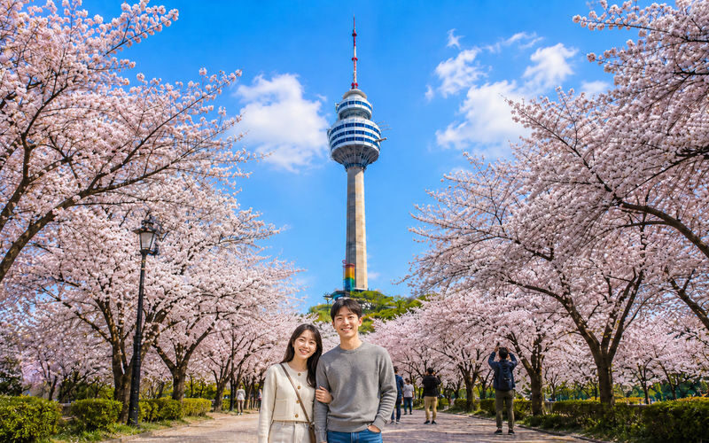 Daegu Day Tour: Palgongsan Cable Car, E-World & 83 Tower Night View - At a glance