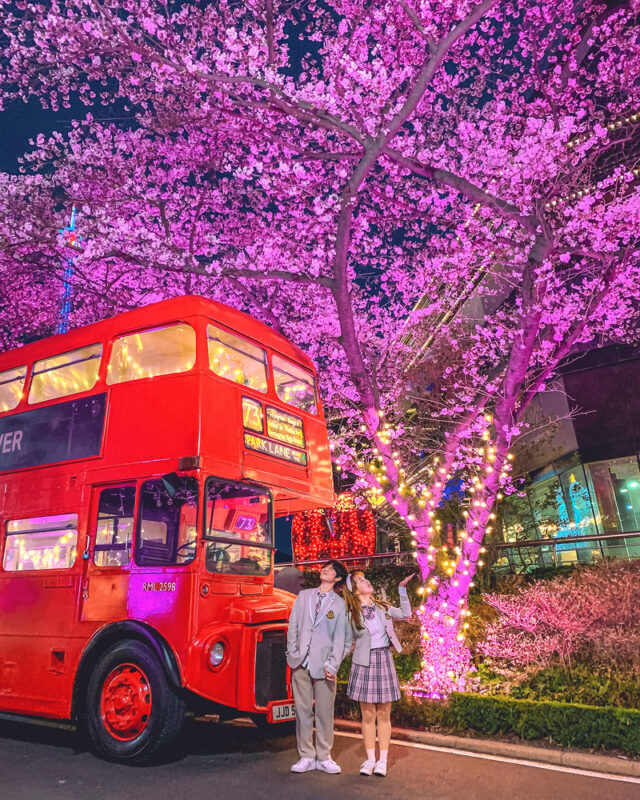 Daegu Day Tour: Palgongsan Cable Car, E-World & 83 Tower Night View - Bullo-dong Ancient Tombs: a short stop between bigger sights