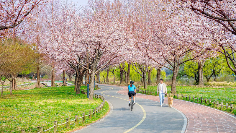 Daegu Day Tour: Palgongsan Cable Car, E-World & 83 Tower Night View - E-World and the 83 Tower: know what the evening includes