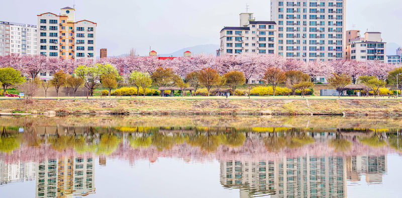Daegu Day Tour: Palgongsan Cable Car, E-World & 83 Tower Night View - What the price covers, and what it does not