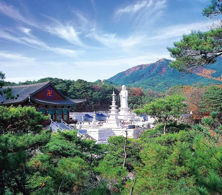 Daegu Day Tour with 83 Tower Visit & Palgongsan Cable Car - Discovering Daegu’s Best in One Day