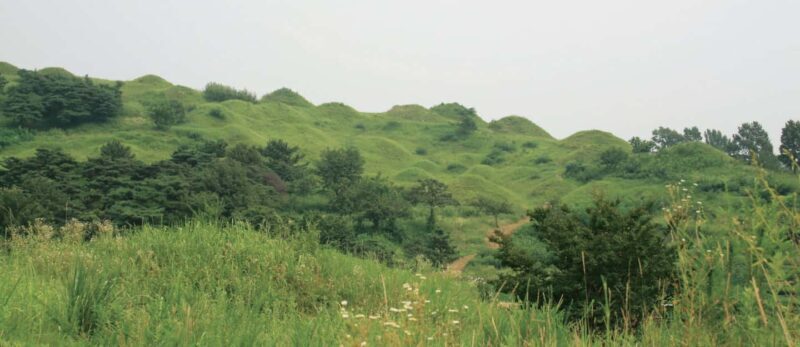 Daegu Day Tour with 83 Tower Visit & Palgongsan Cable Car - FAQ