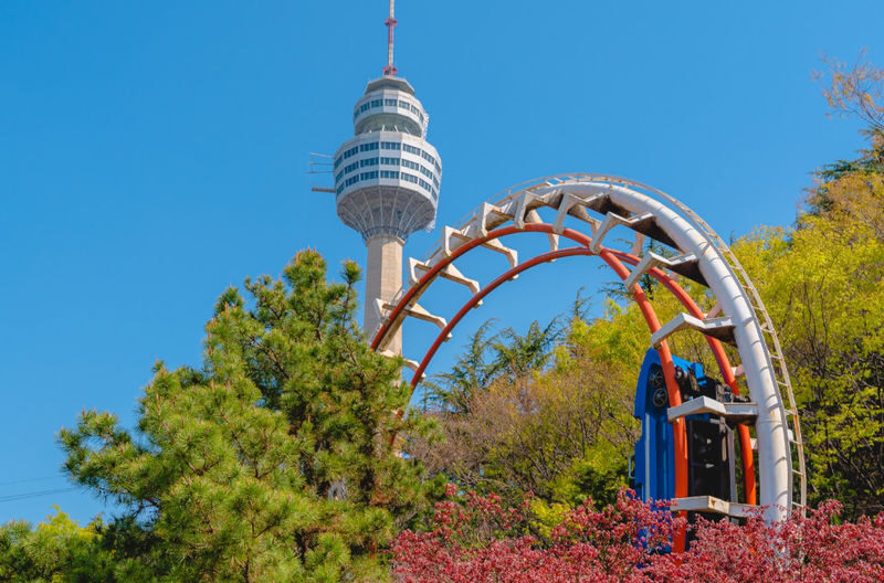 Daegu E-World & 83 Tower Full-Day Guided Tour - The Busan-to-Daegu drive is part of the day