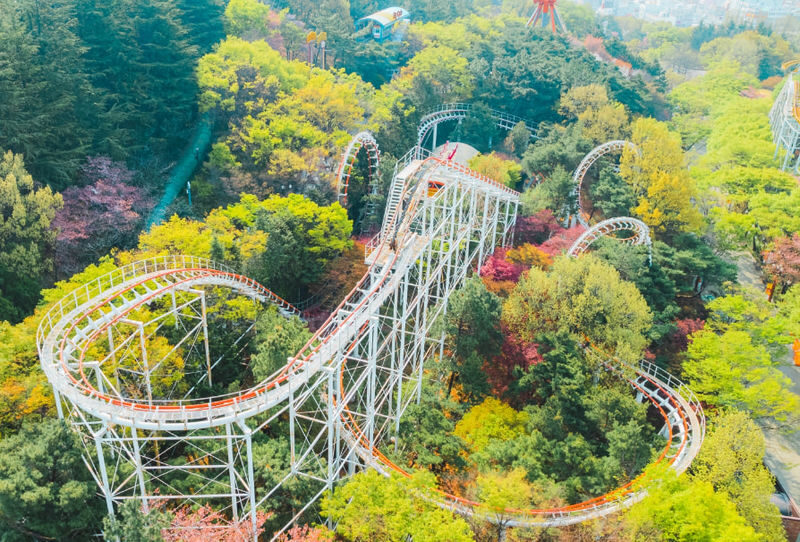 Daegu E-World & 83 Tower Full-Day Guided Tour - 83 Tower: save time for the view