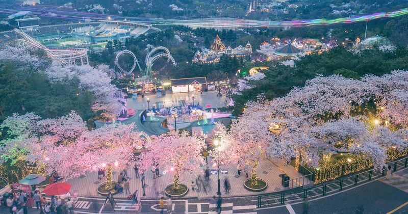 Daegu E-World/Busan Lotte World Shuttle + Ticket from Busan/Daegu - The return trip and Busan drop-offs