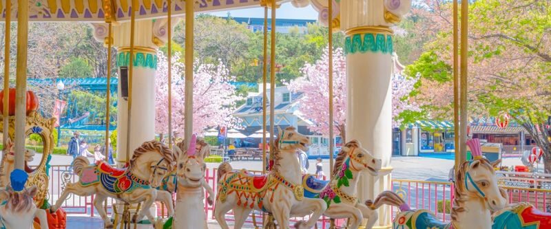 Daegu E-World/Busan Lotte World Shuttle + Ticket from Busan/Daegu - What the price covers, and what it does not