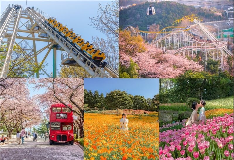 Daegu E-World/Busan Lotte World Shuttle + Ticket from Busan/Daegu - Who should choose this shuttle