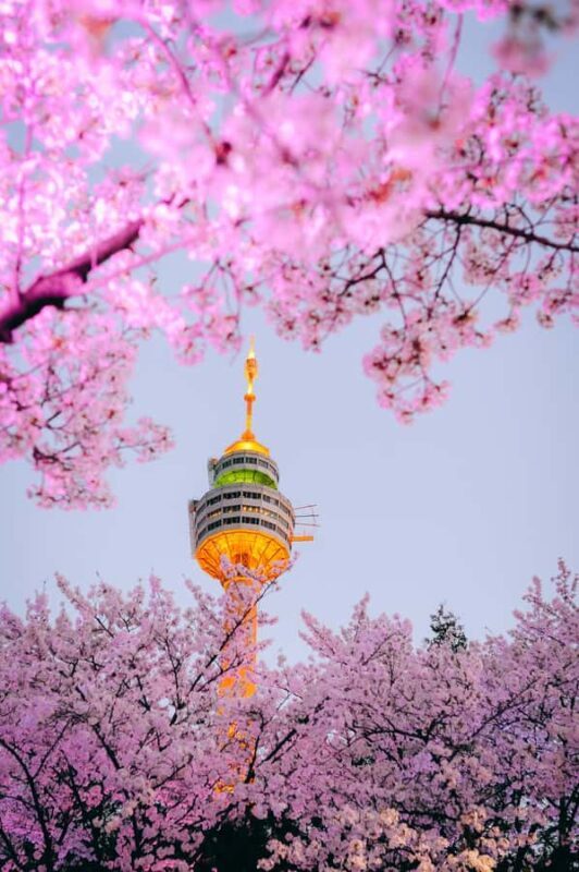 Daegu: E-World Theme Park & 83 Tower Observatory Ticket - Practical Information