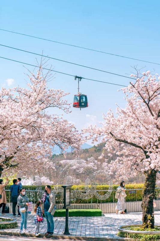 Daegu: E-World Theme Park & 83 Tower Observatory Ticket - The Sum Up