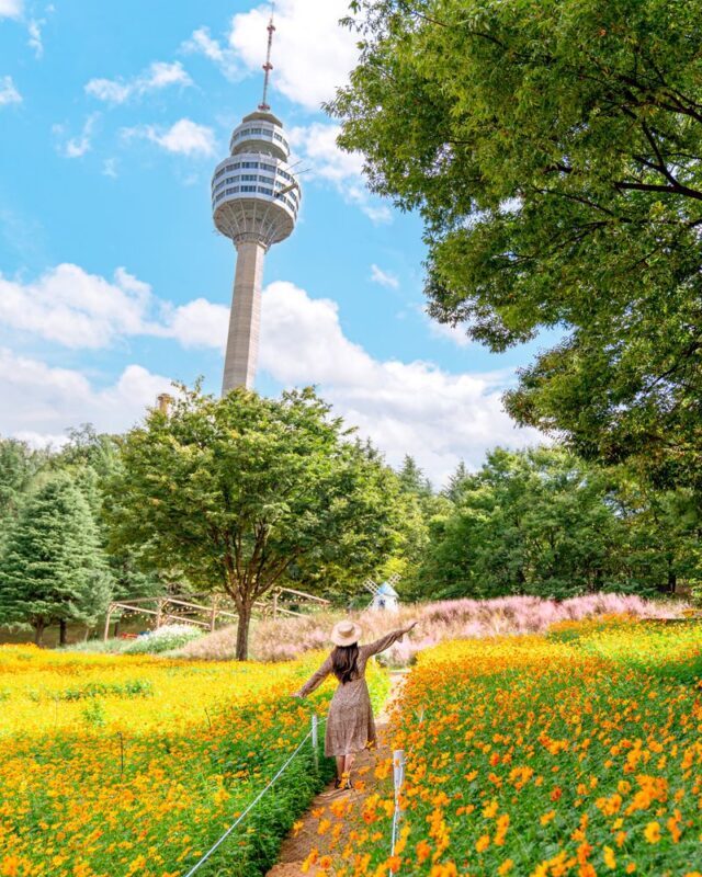 Daegu E-world Ticket - Lights, festivals and the best time to go