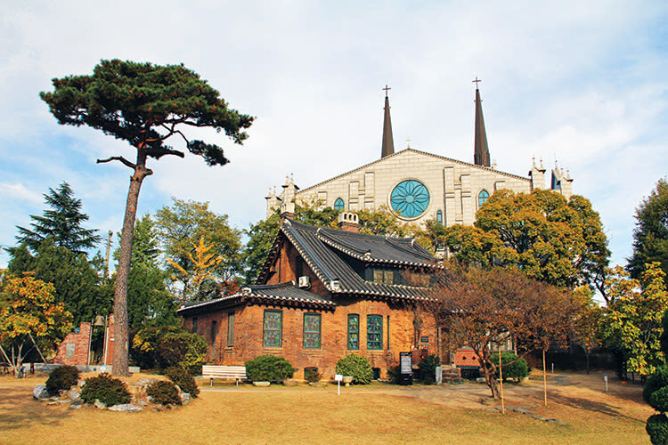 Daegu Hop-On Hop-Off Bus Tour - Audio guides, live help and the open-top question