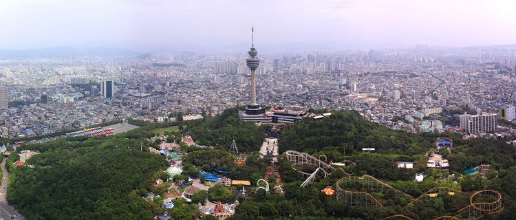 Daegu Hop-On Hop-Off Bus Tour - What the ticket costs, and who gets the best value