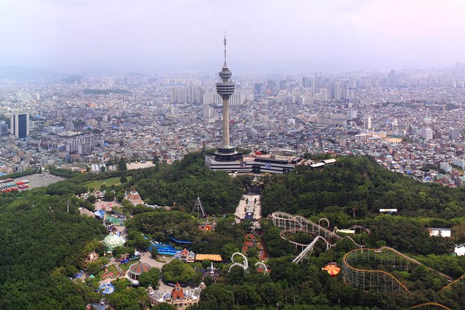 Daegu Hop on Hop off City Tour Bus Discount Ticket - Overview of the Hop on Hop off Bus Tour