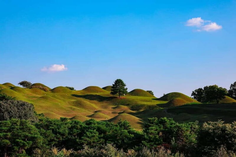 Daegu: Private Taxi Tour Car Charter - Good To Know