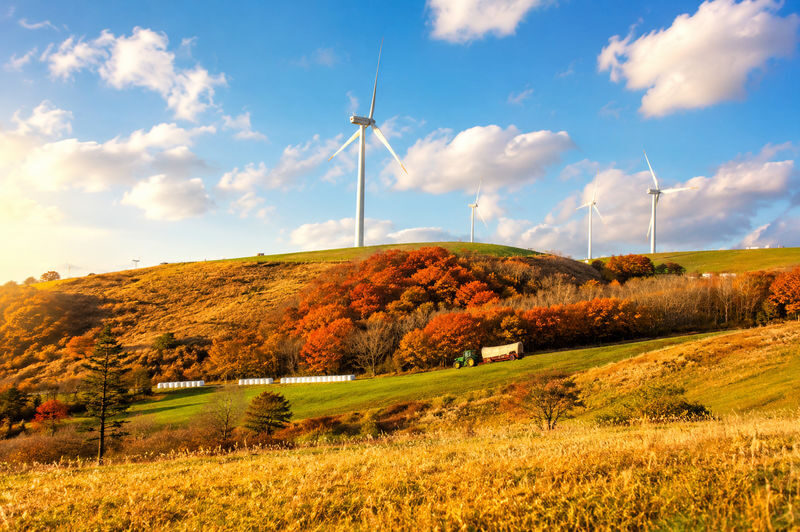 Daegwallyeong Sky Ranch&Samyang Ranch + Balwangsan Cable Car&Skywalk - At a glance: what makes this trip worthwhile