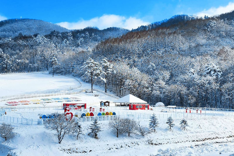 Daegwallyeong Sky Ranch&Samyang Ranch + Balwangsan Cable Car&Skywalk - Choosing Samyang Ranch or Sky Ranch