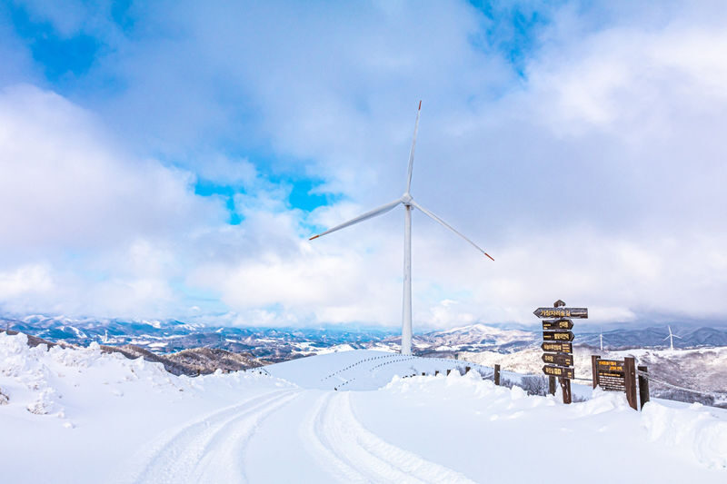 Daegwallyeong Sky Ranch&Samyang Ranch + Balwangsan Cable Car&Skywalk - What the guide can add