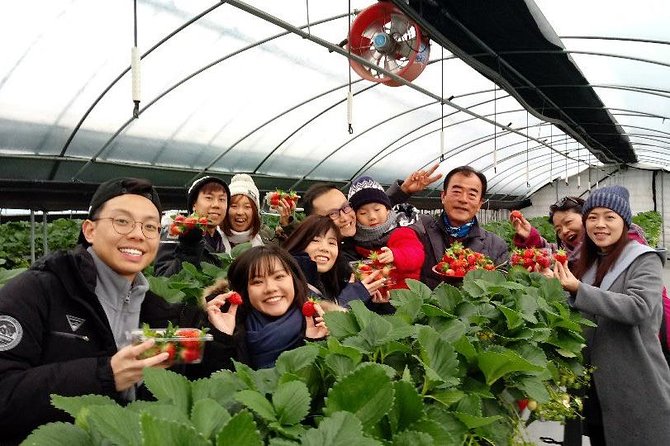 Daemyung Vivaldi Park Resort 2D 1N Hwacheon Ice-Fishing Festival - Winter Activities and Attractions