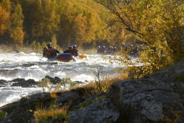 Dagali/Geilo: White Water Rafting Adventure - Level 2 - Frequently Asked Questions