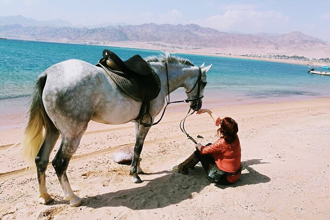 Dahab Horseback Riding Desert and Beach Equestrian Adventure - Good To Know