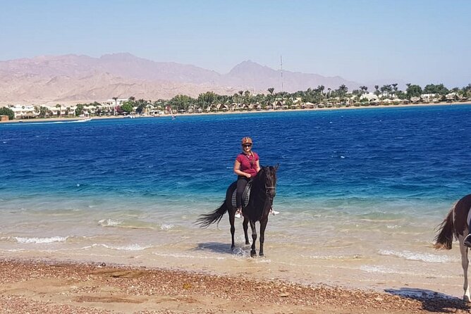 Dahab Horseback Riding Desert and Beach Equestrian Adventure - Pickup Instructions