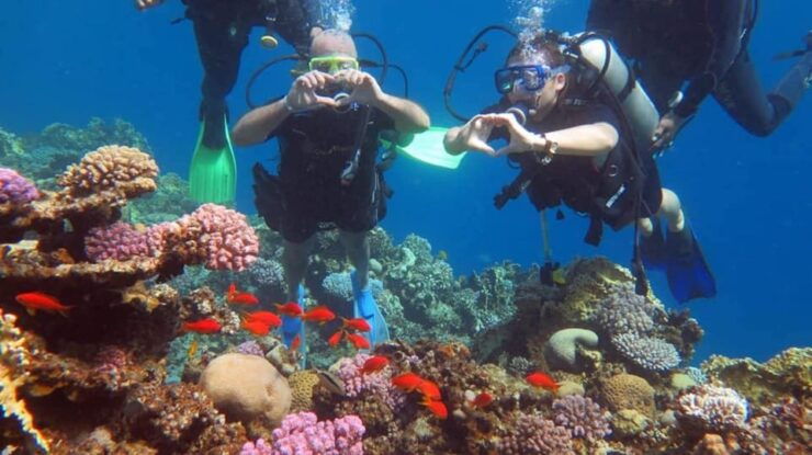 Dahab: Quad Biking, Snorkelling, Diving, and Camel Ride - Experience Highlights