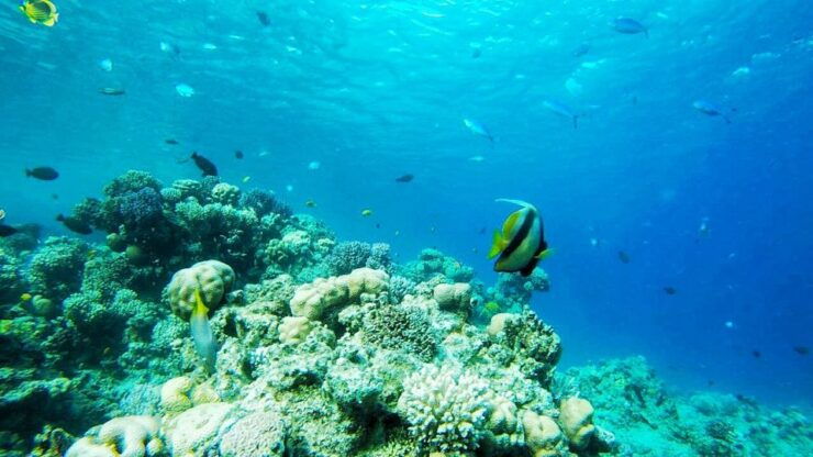Dahab: Quad Biking, Snorkelling, Diving, and Camel Ride - Experience Highlights