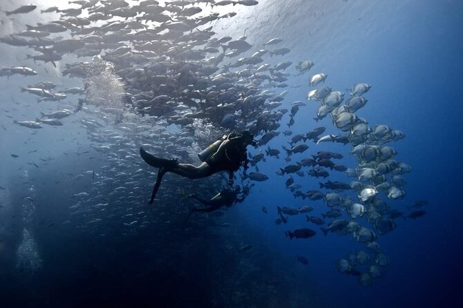 Dahab Safari & Blue Hole Snorkeling Day Tour From Sharm Elsheikh - Inclusions