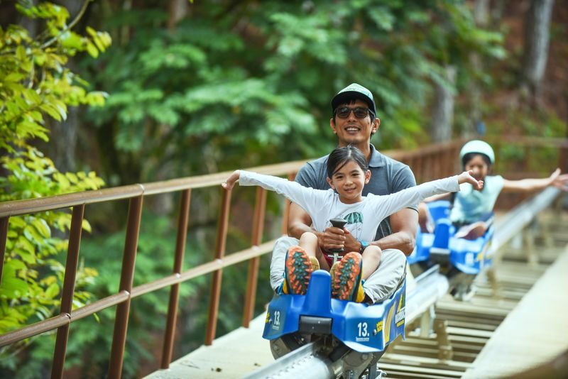 Dahilayan Adventure Park Ticket in Bukidnon - More rides mean more choices, not one all-in ticket