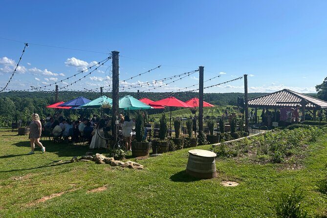 Dahlonega Wine & Dine Private Tour from Atlanta - Good To Know