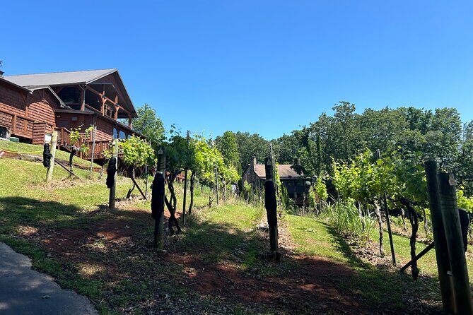 Dahlonega Wine & Dine Private Tour from Atlanta - Cottage Vineyard & Winery: Views and Hospitality