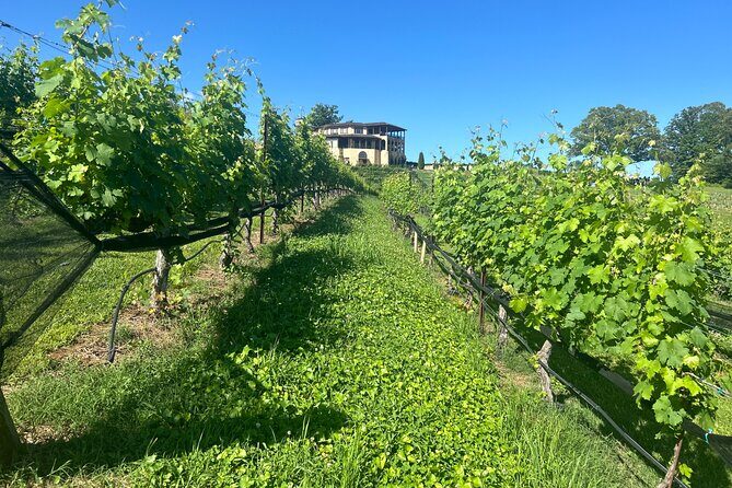 Dahlonega Wine & Dine Private Tour from Atlanta - Wolf Mountain Vineyards & Winery or Montaluce