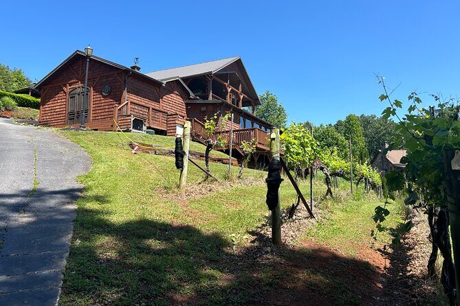 Dahlonega Wine & Dine Private Tour from Atlanta - Practical Details and Value